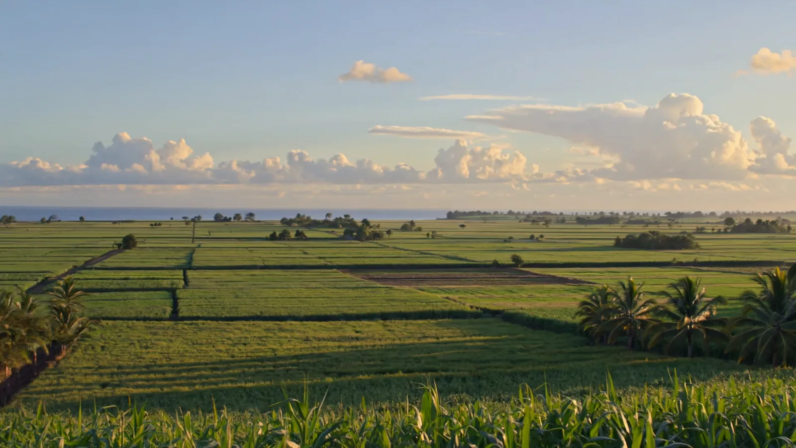 Paisaje agrícola: imagen de apoyo